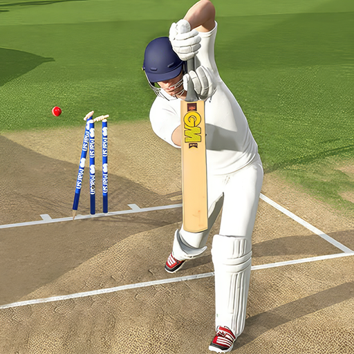Cricket Balls Store Website Preview